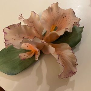 Capodimonte Fushia & Peach Iris